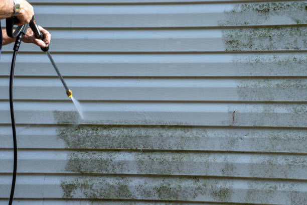 Best Carpet Removal and Disposal  in Lynn, IN